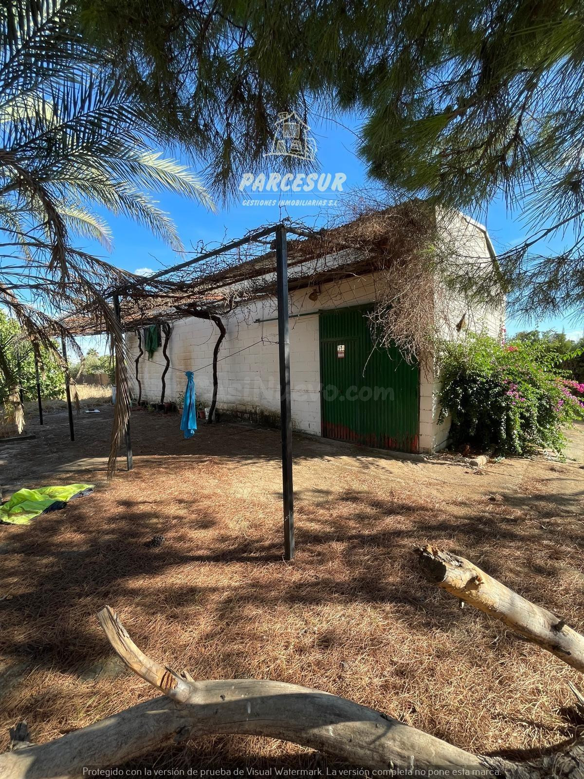 PARCELA DE TERRENO DE 3.000 M2 CON  POZO Y LUZ DE ENDESA