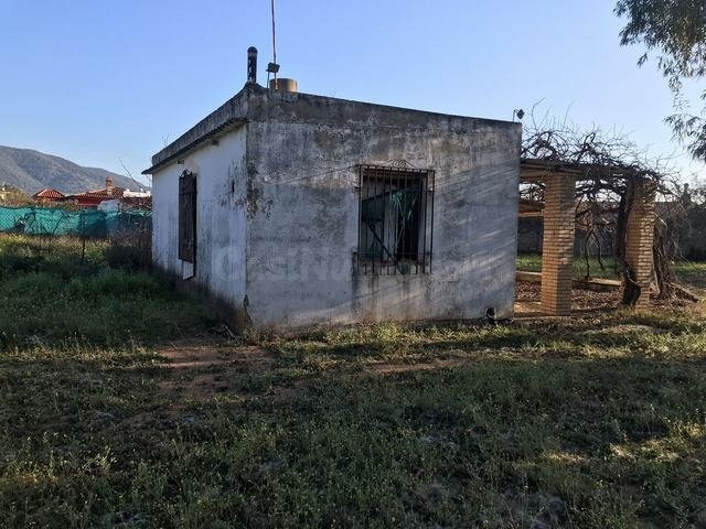 CTRA PALMA DEL RIO - Parcela con escrituras del terreno de 3.000m2 con pequeña casita de 35 m2 antigua