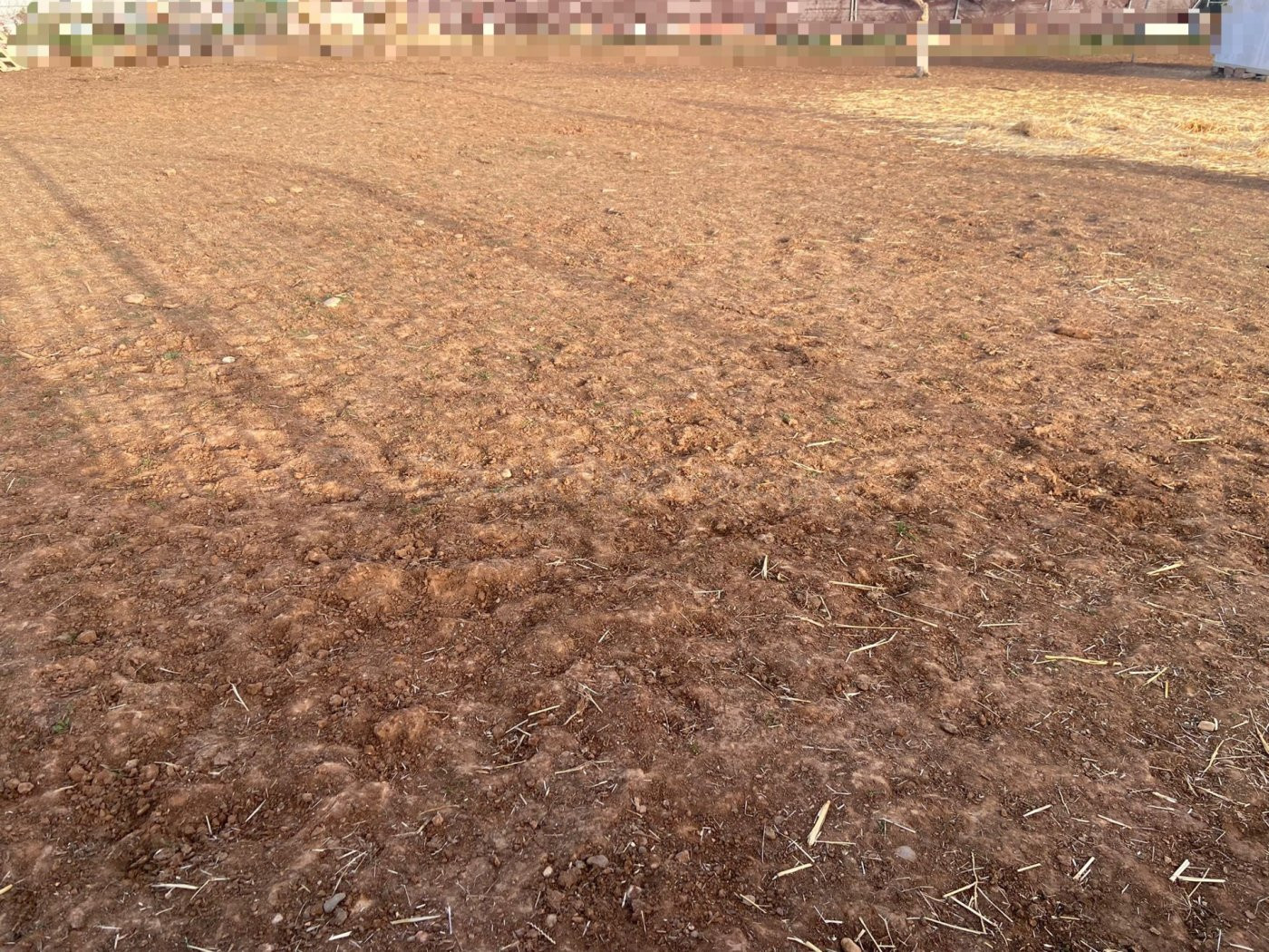 ZONA LAS PITAS