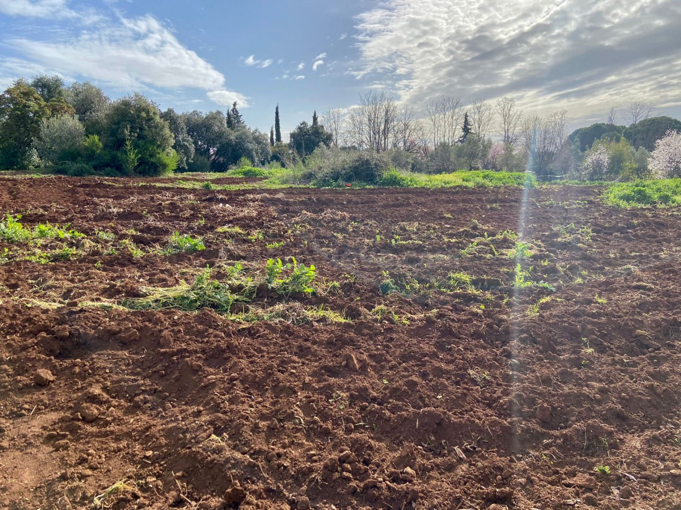ZONA CTRA. ERMITAS - REGALA TRACTOR - Parcela de terreno de 6.000 m2.