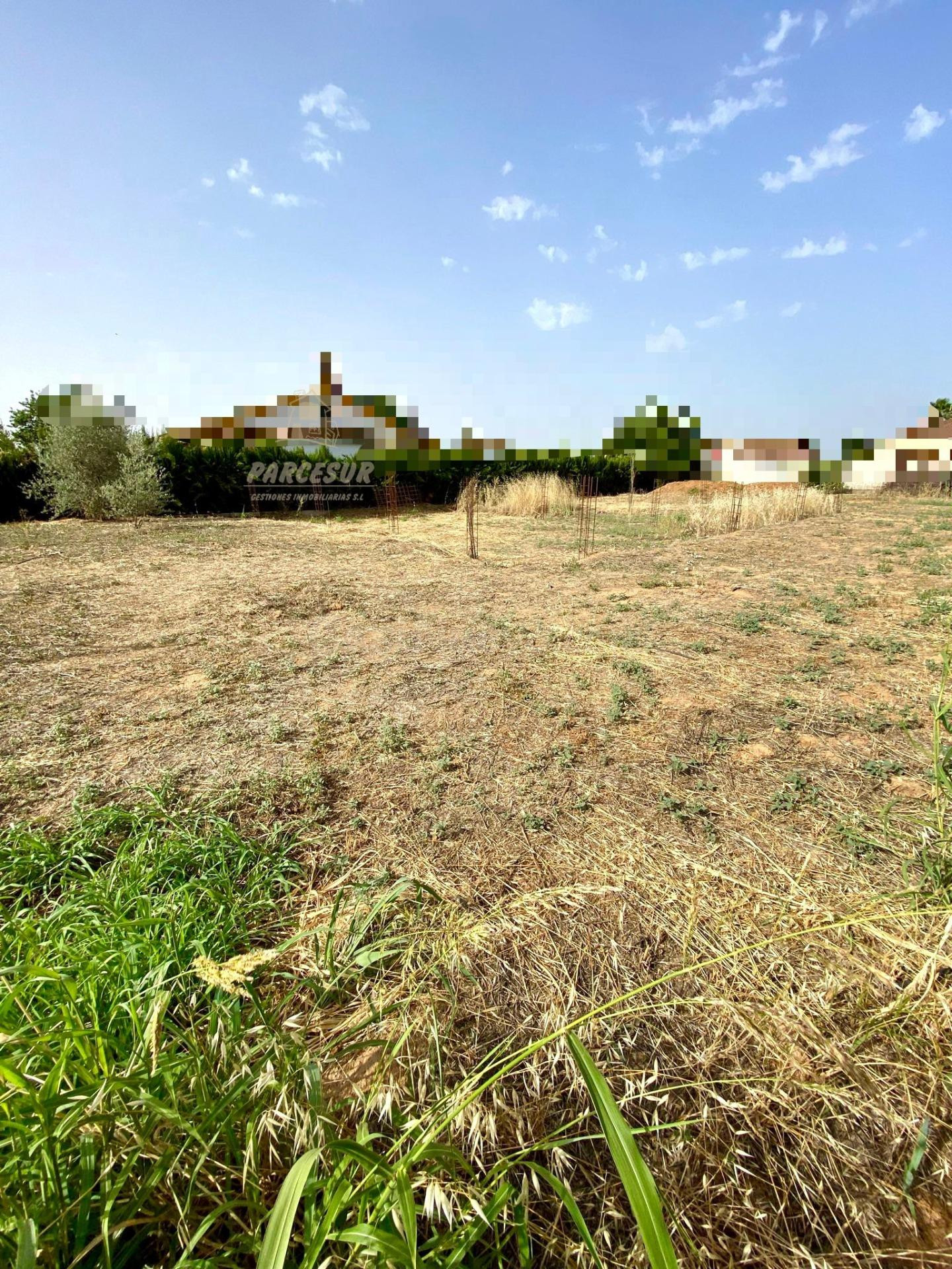 ZONA ALAMILLO - Villarrubia . Parcela de terreno de 1.250 m2 con agua de comunidad