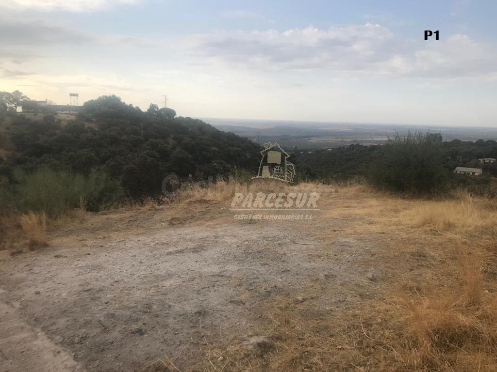 CUEVAS BAJAS- Parcelas de 2.000 m con pozo comunitario y punto de luz.