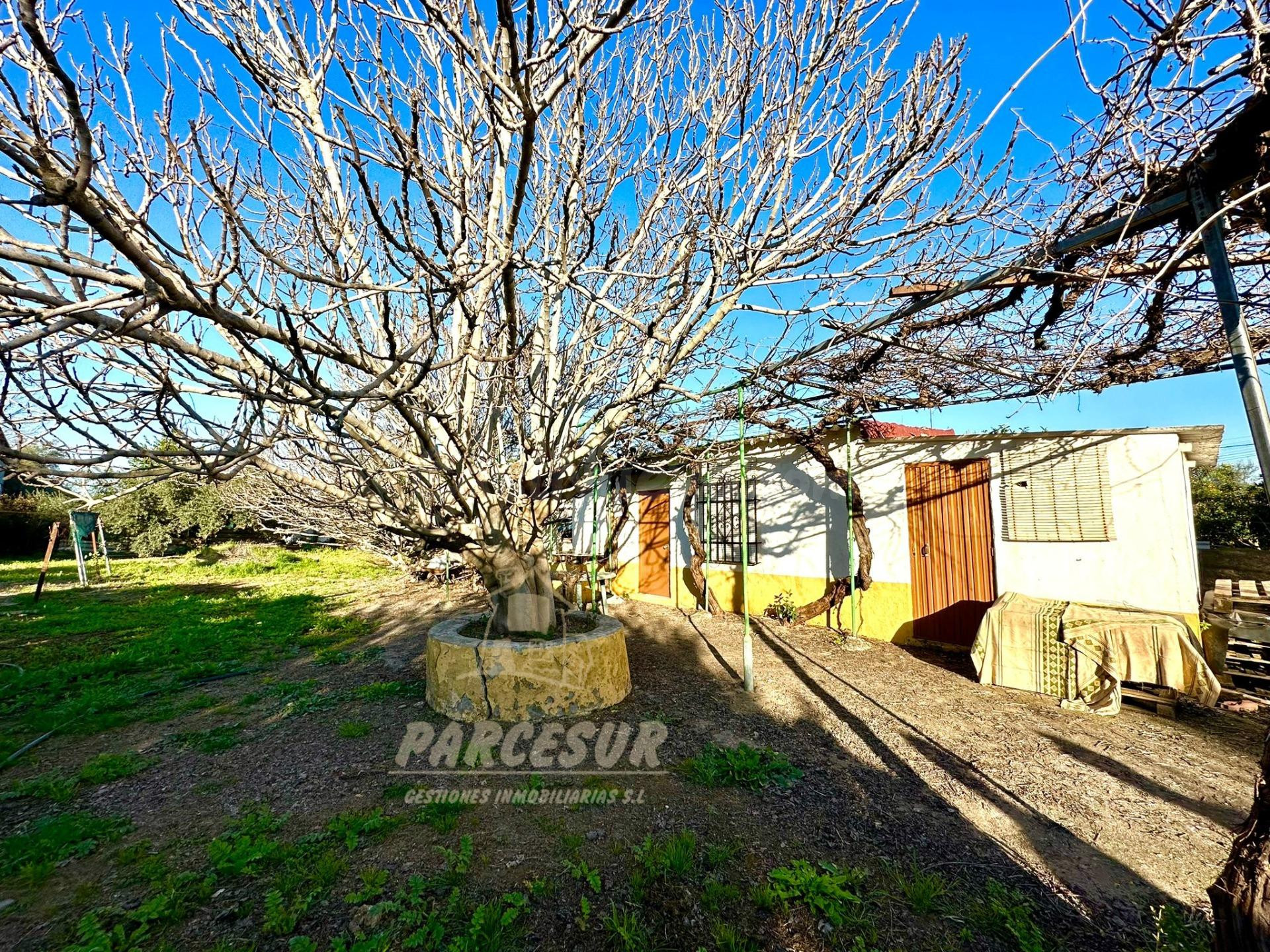 ZONA HIGUERON - Parcela con salon, trastero y baño con agua potable y alcantarillado.