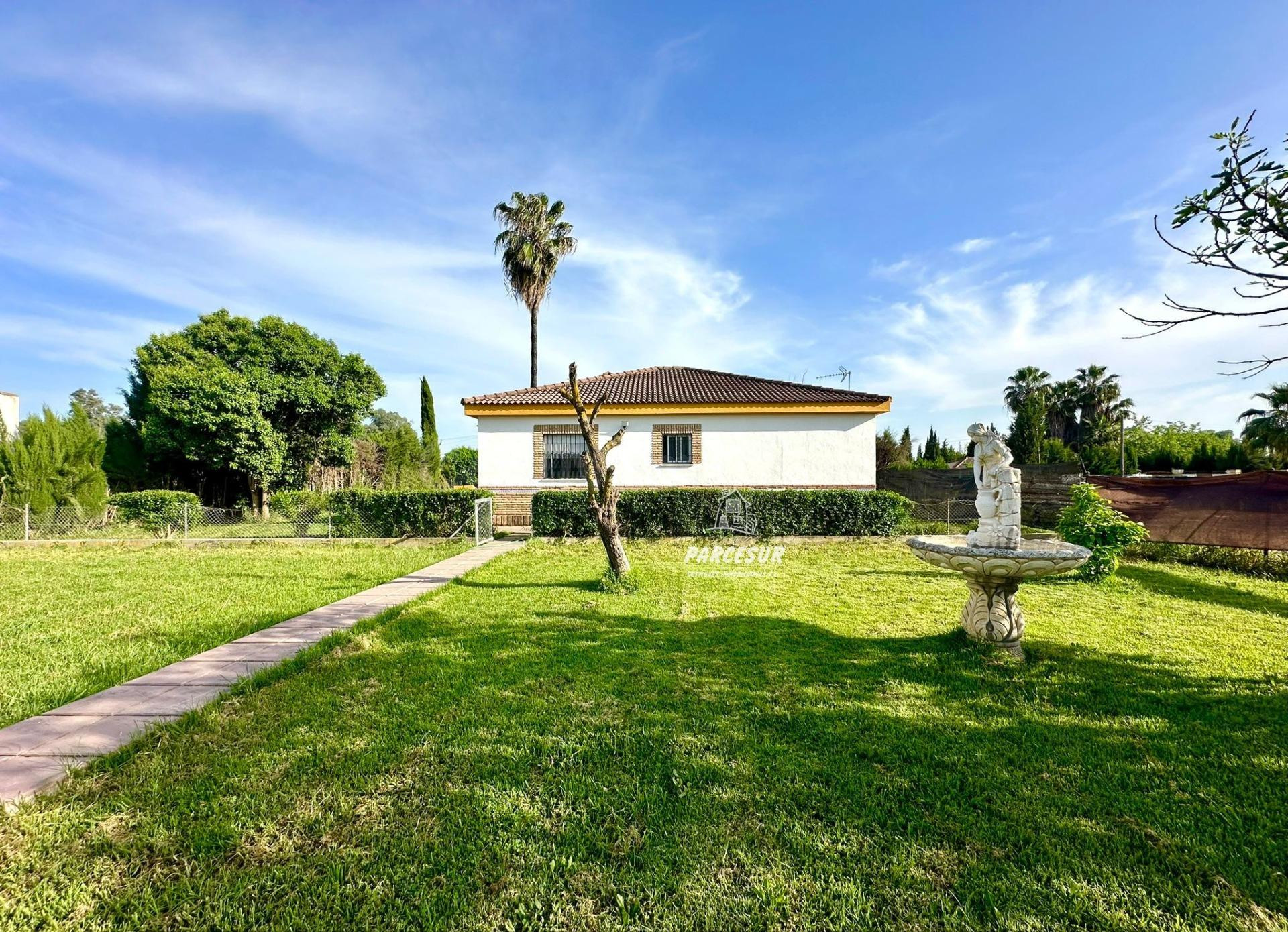 Bonita casa en parcela de 1250m2 zona Villarrubia