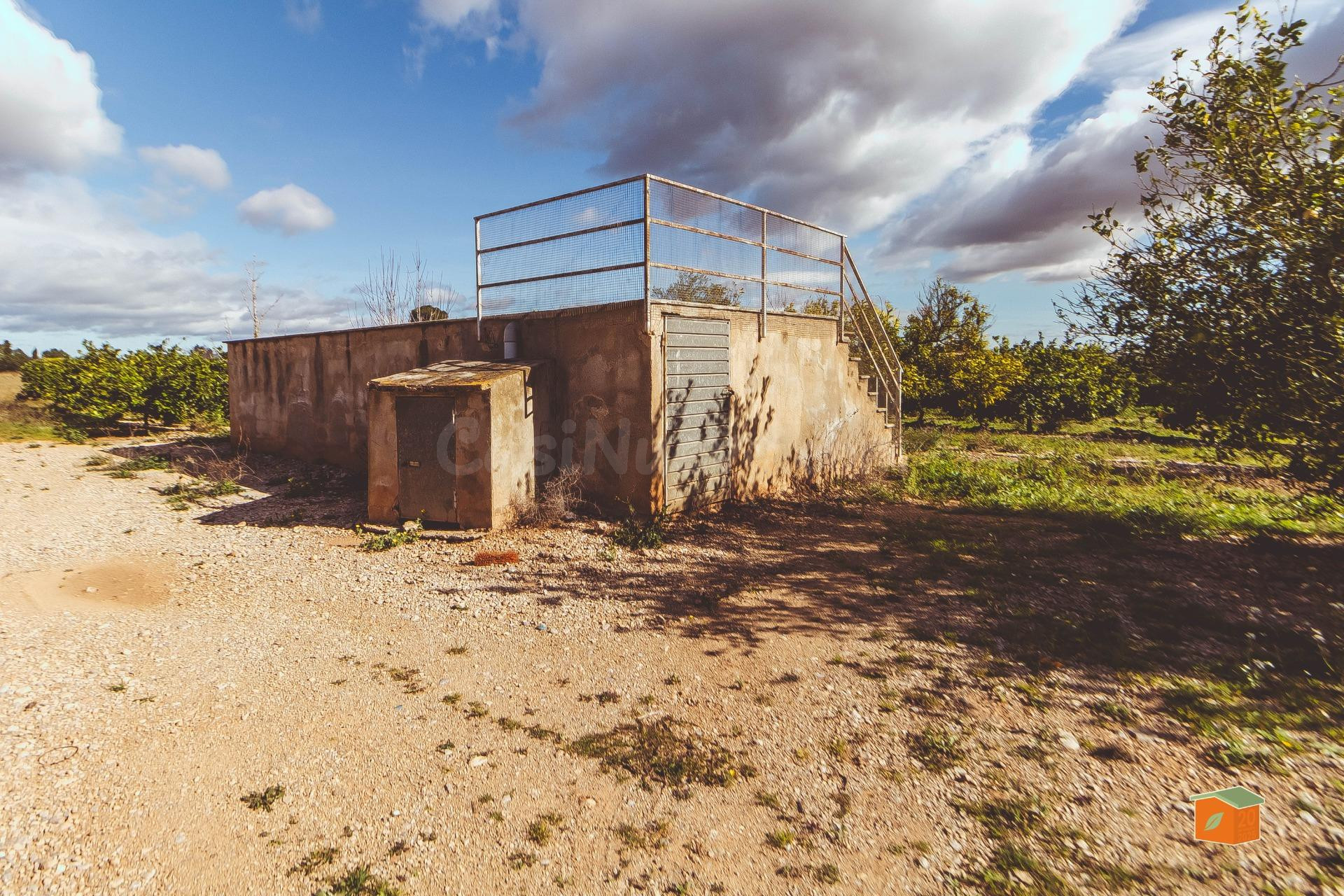 FINCA RUSTICA DE MANDARINOS EN VENTA EN SANTA BARBARA (TARRAGONA)