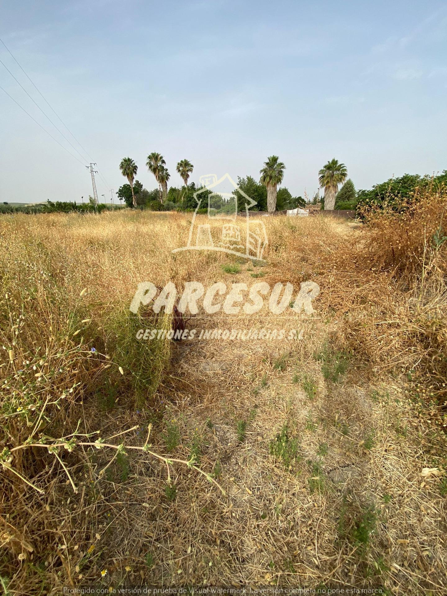 MAJANEQUE - Estupendo precio!! Parcela de 1.250m para inversión, recreo, huerto.