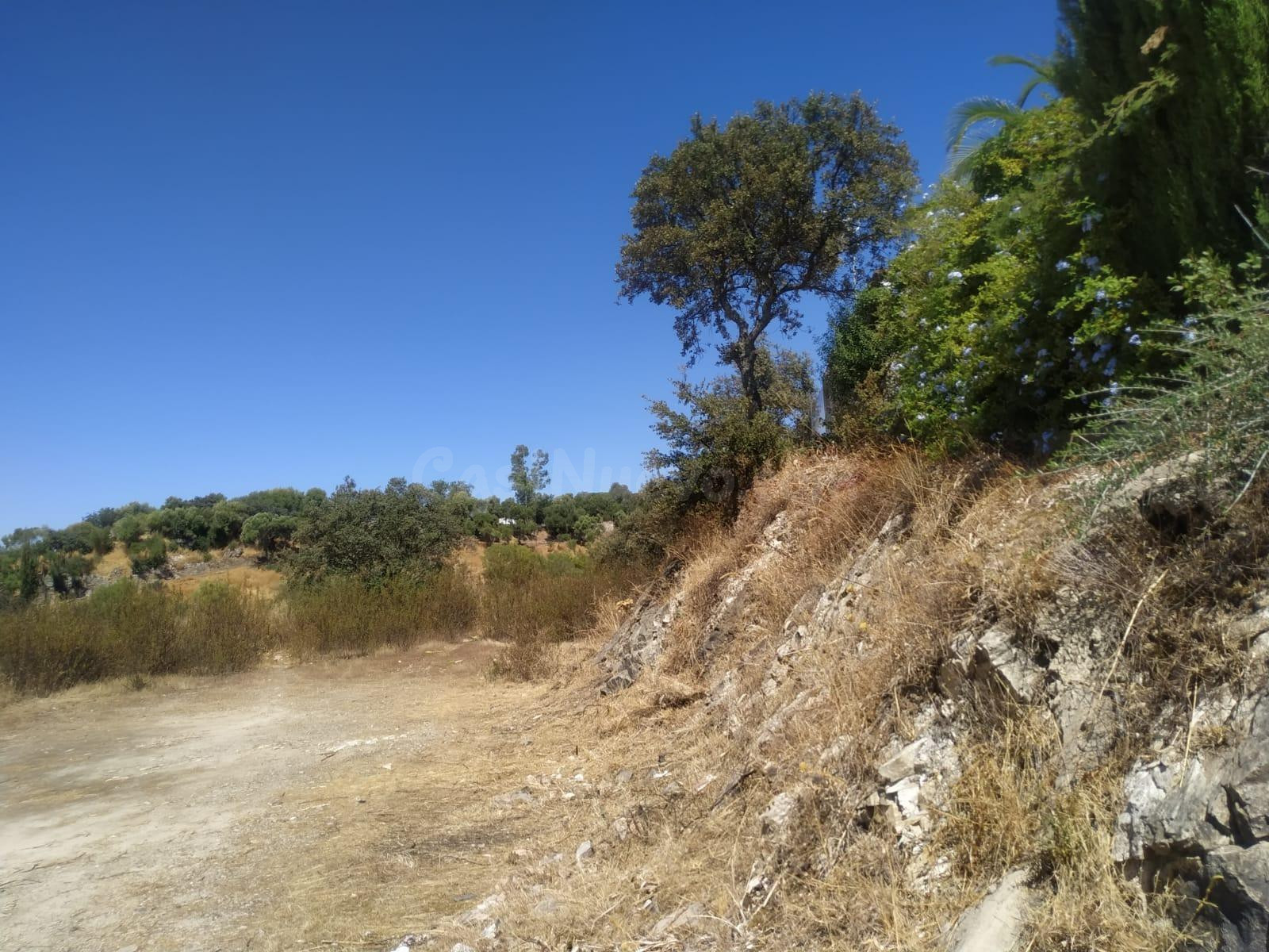 Terreno Rural en Cuevas bajas - Oportunidad Única