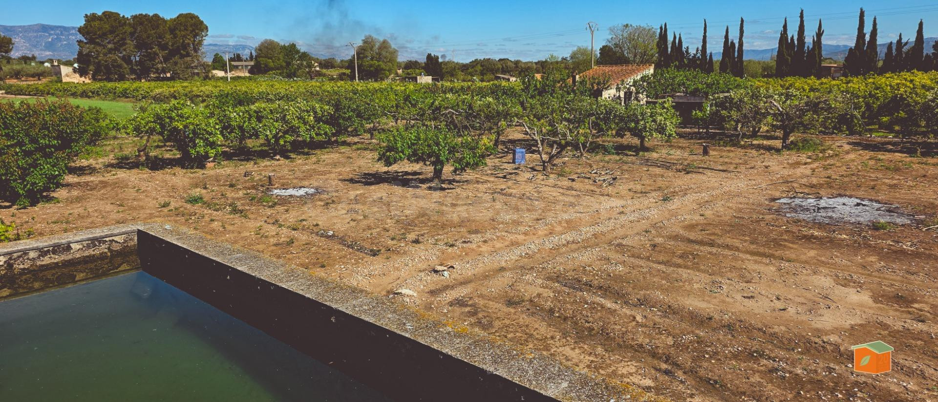 FINCA RUSTICA CON PISCINA EN VENTA EN MASDENVERGE (TARRAGONA)