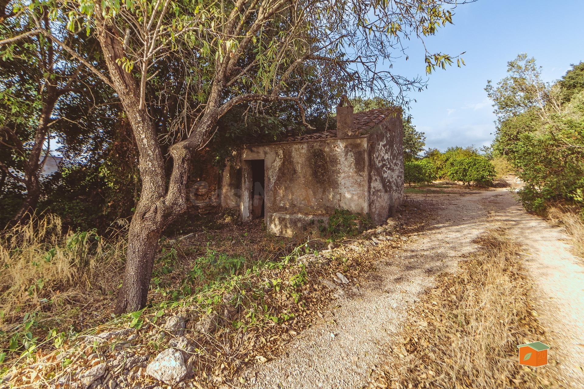 FINCA RÚSTICA CON CASETA EN VENTA EN SANTA BÁRBARA (TARRAGONA)