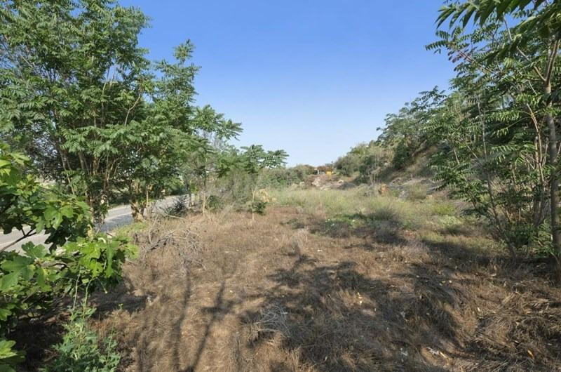 Finca Rústica de Secano