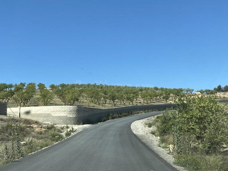 Finca Rústica