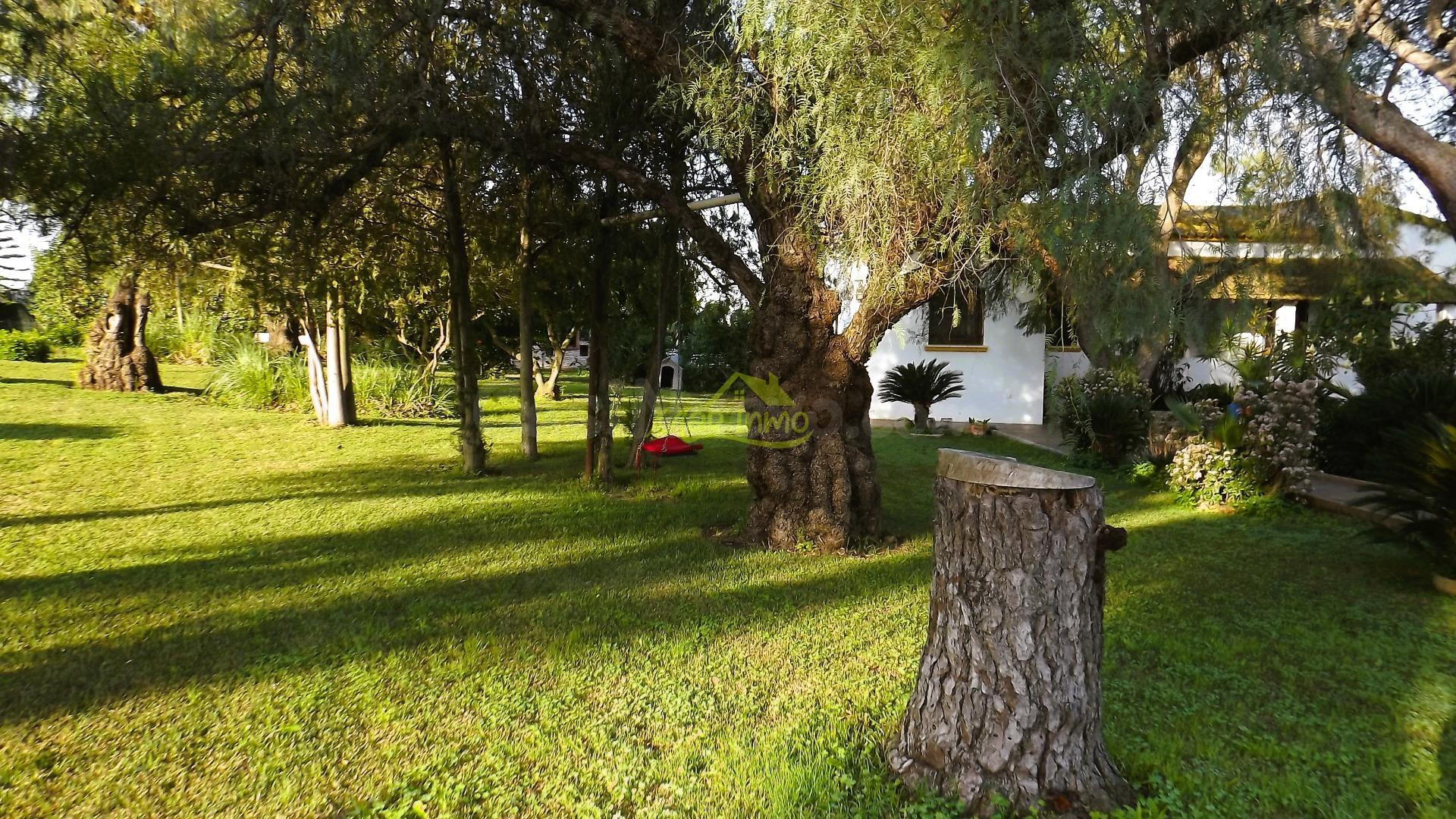 FINCA CON ESTUPENDA CASA EN CARTAYA - foto 5