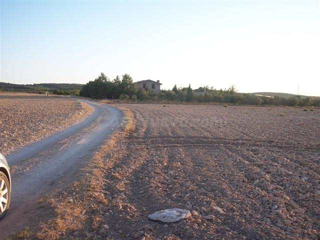 Terreno rural en venta - Almansa