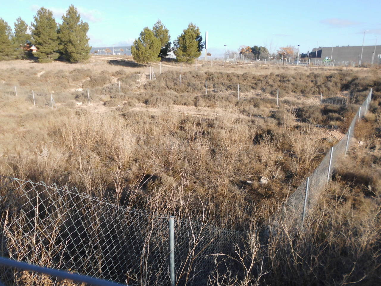 Parcela 625m² en venta - Almansa