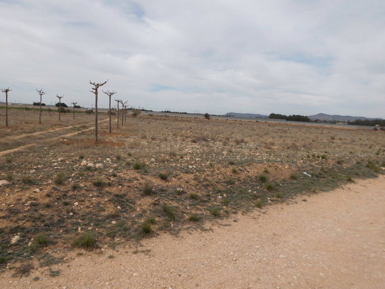 Terreno rural en venta - Almansa