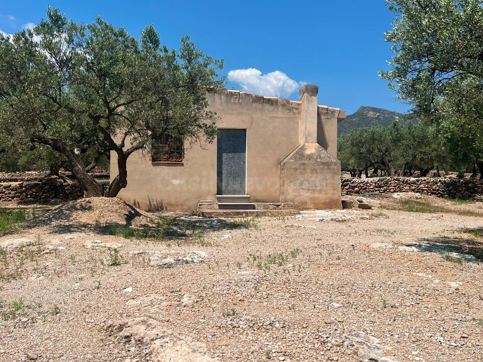 Finca Rústica con Olivos y Caseta Reformada en Entorno Natural