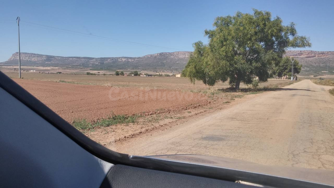 Terreno rural en venta - Almansa