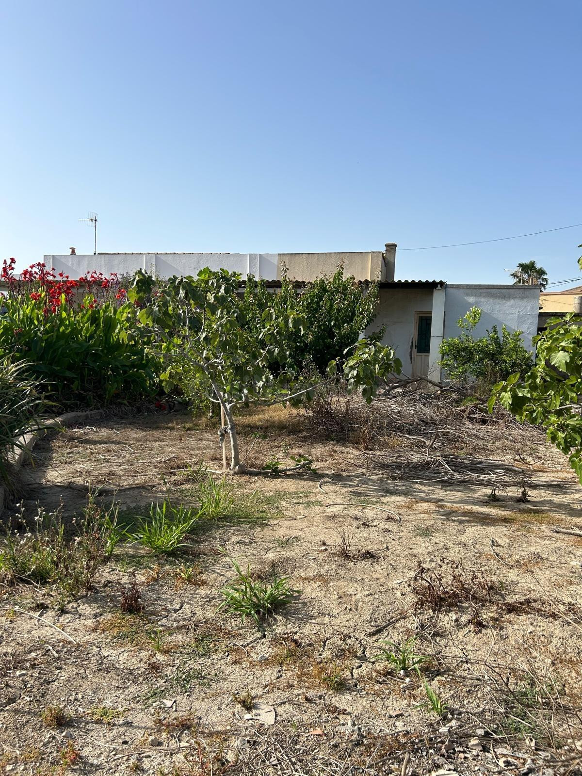Amplio Terreno 400m2 Urbanizable en Zona Tranquila Deltebre