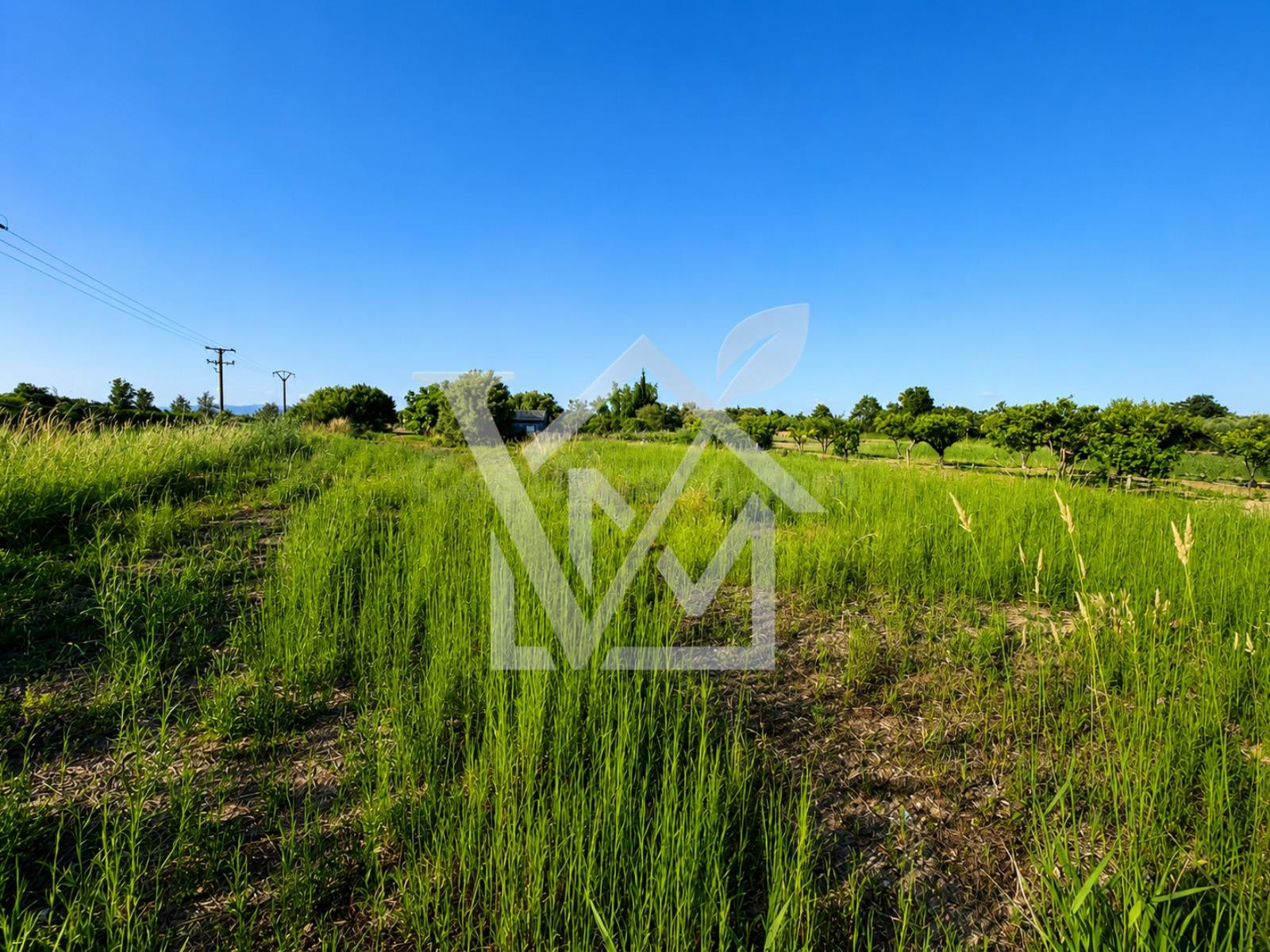 Finca rústica de 2.294 m2 en La Rápita con buen acceso