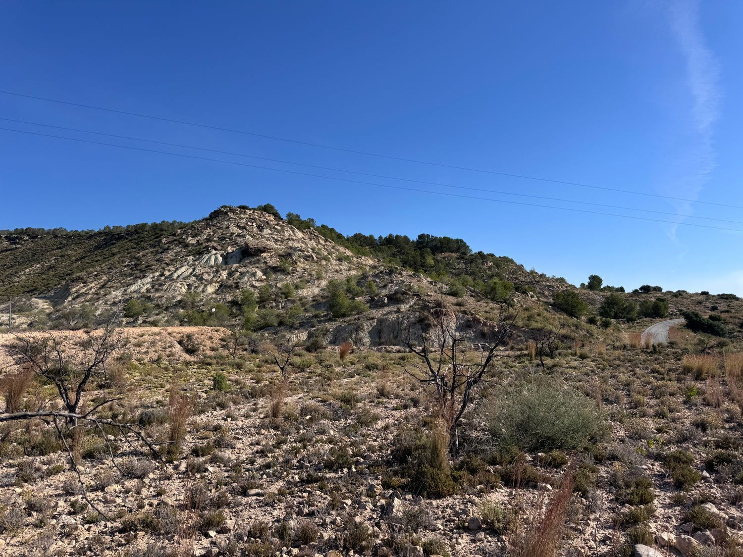 Terreno rural en venta - Albudeite