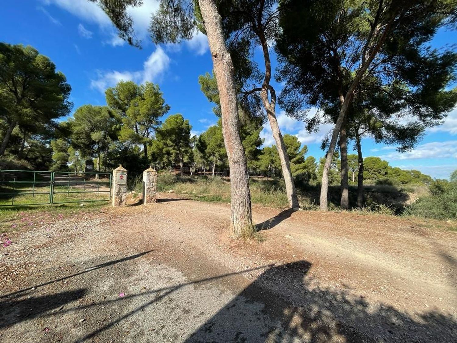 Terreno rural 1000m² en venta - La Alberca
