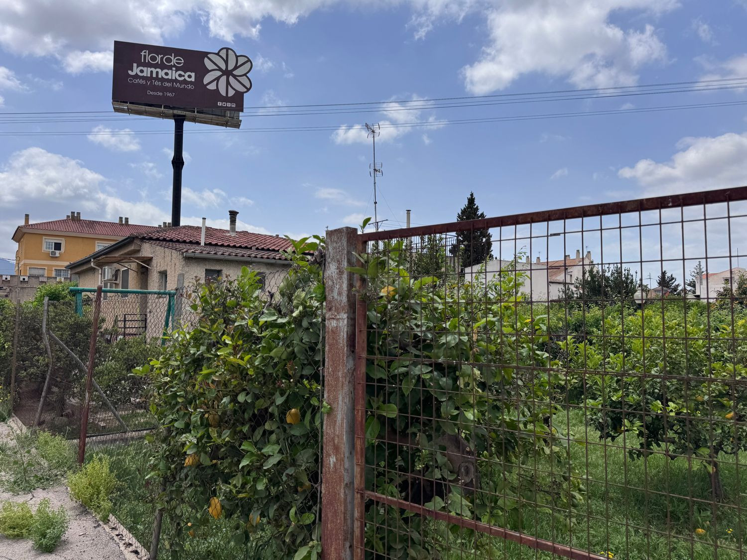 Terreno rural 2578m² en venta - San Benito-Patiño