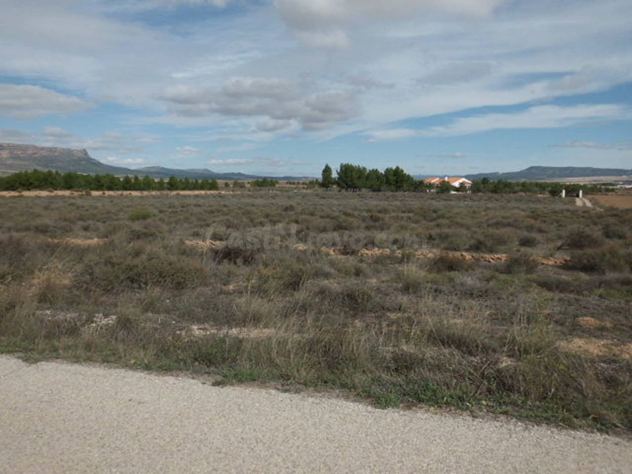 Terreno rural en venta - Almansa