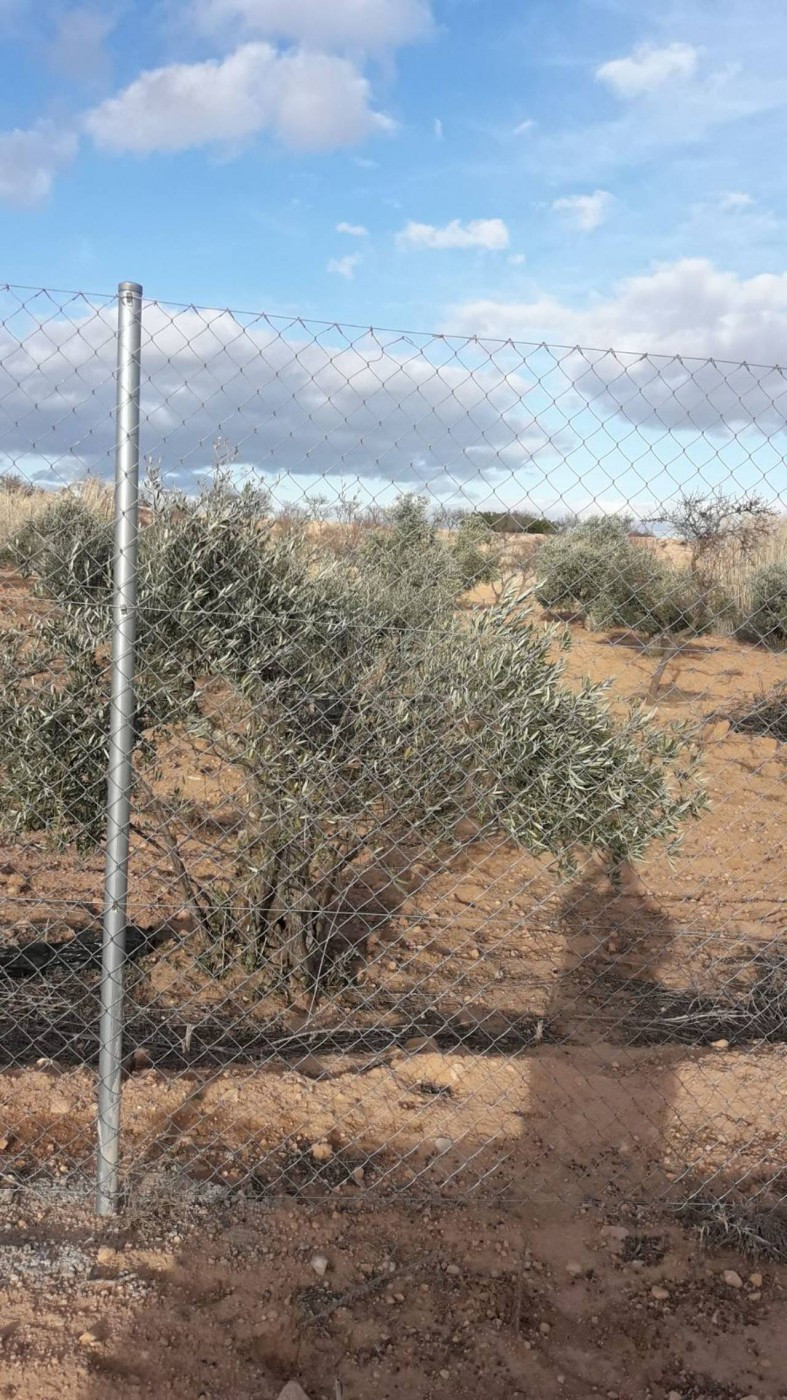 Terreno rural en venta - Almansa