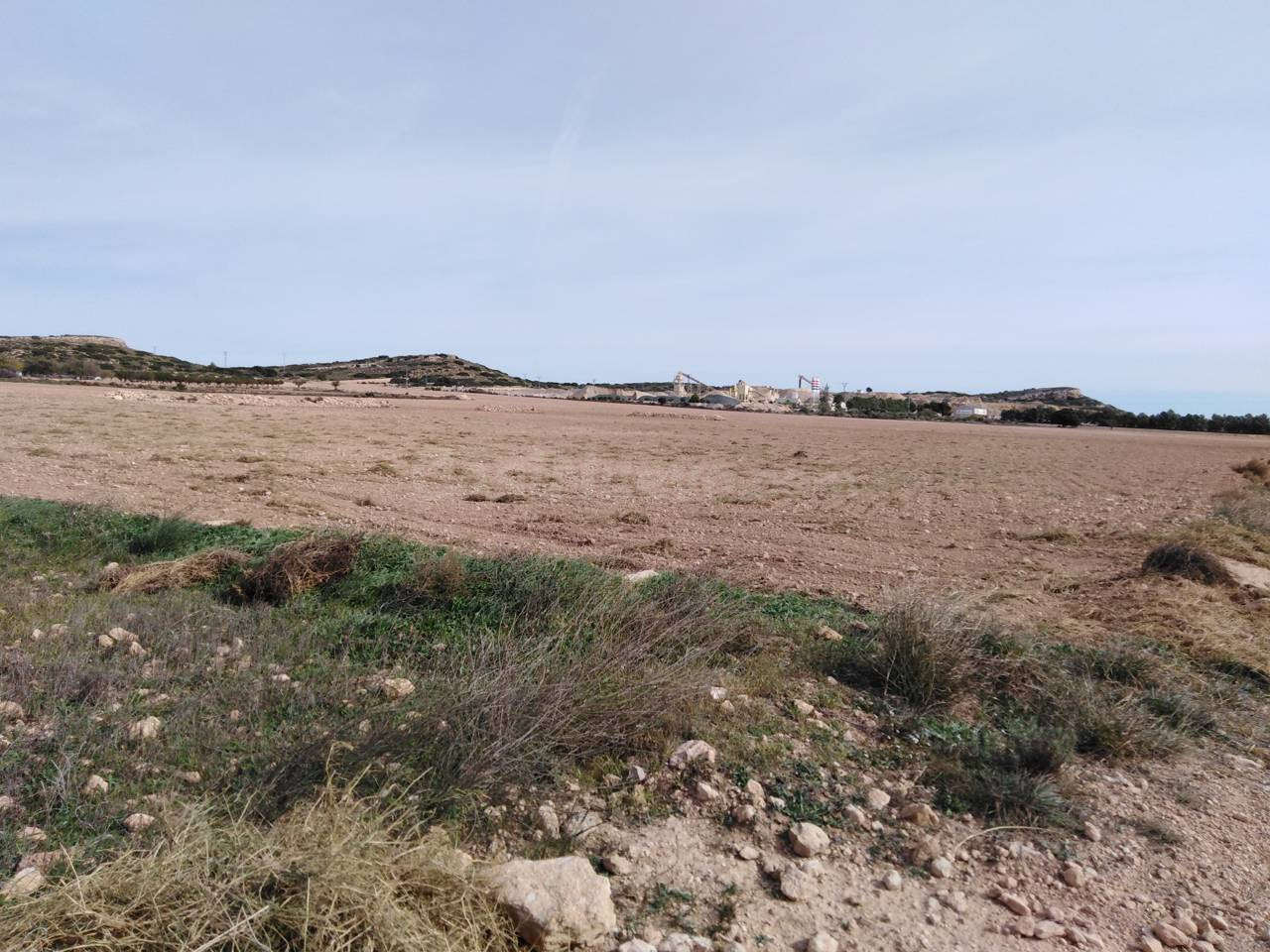 Terreno rural en venta - Almansa