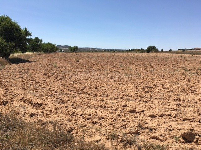 TERRENO EN SAN ANTON