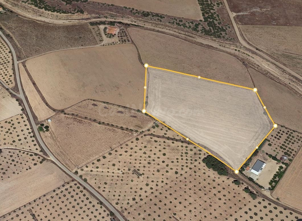 TERRENO RURAL EN SAN ANTON