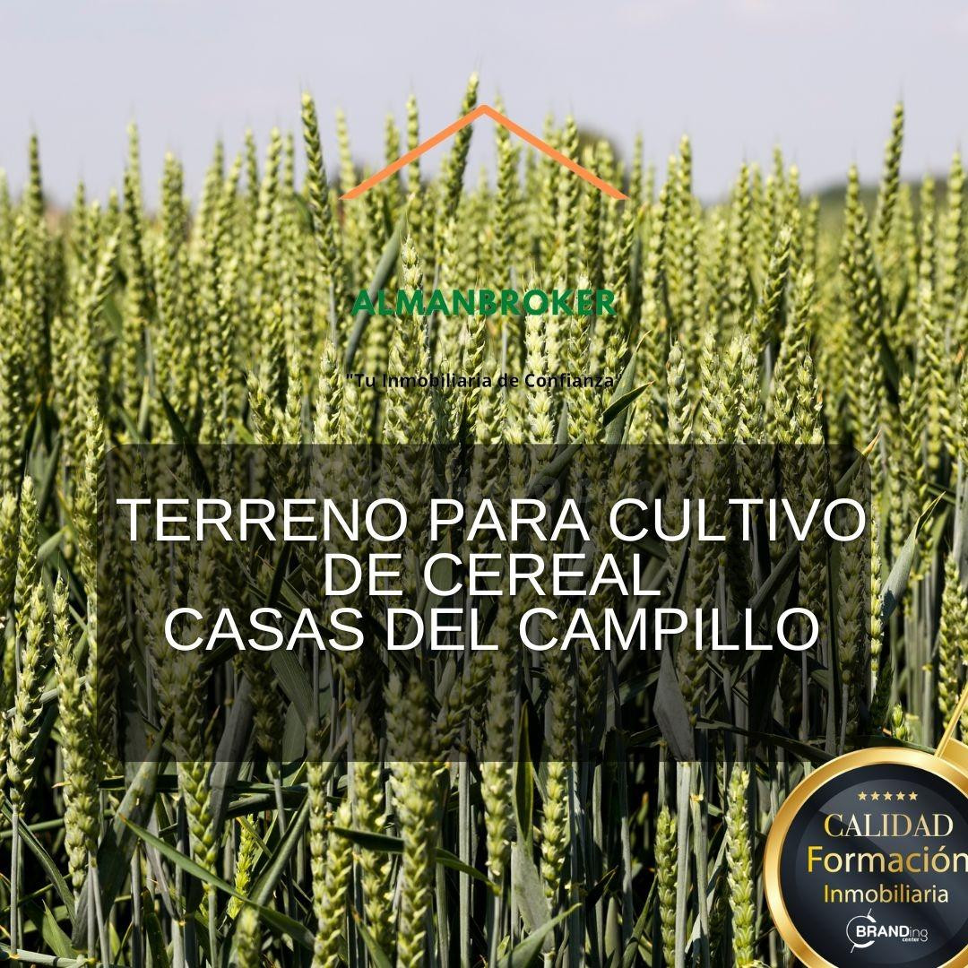 Terreno rural en venta - La fanegra