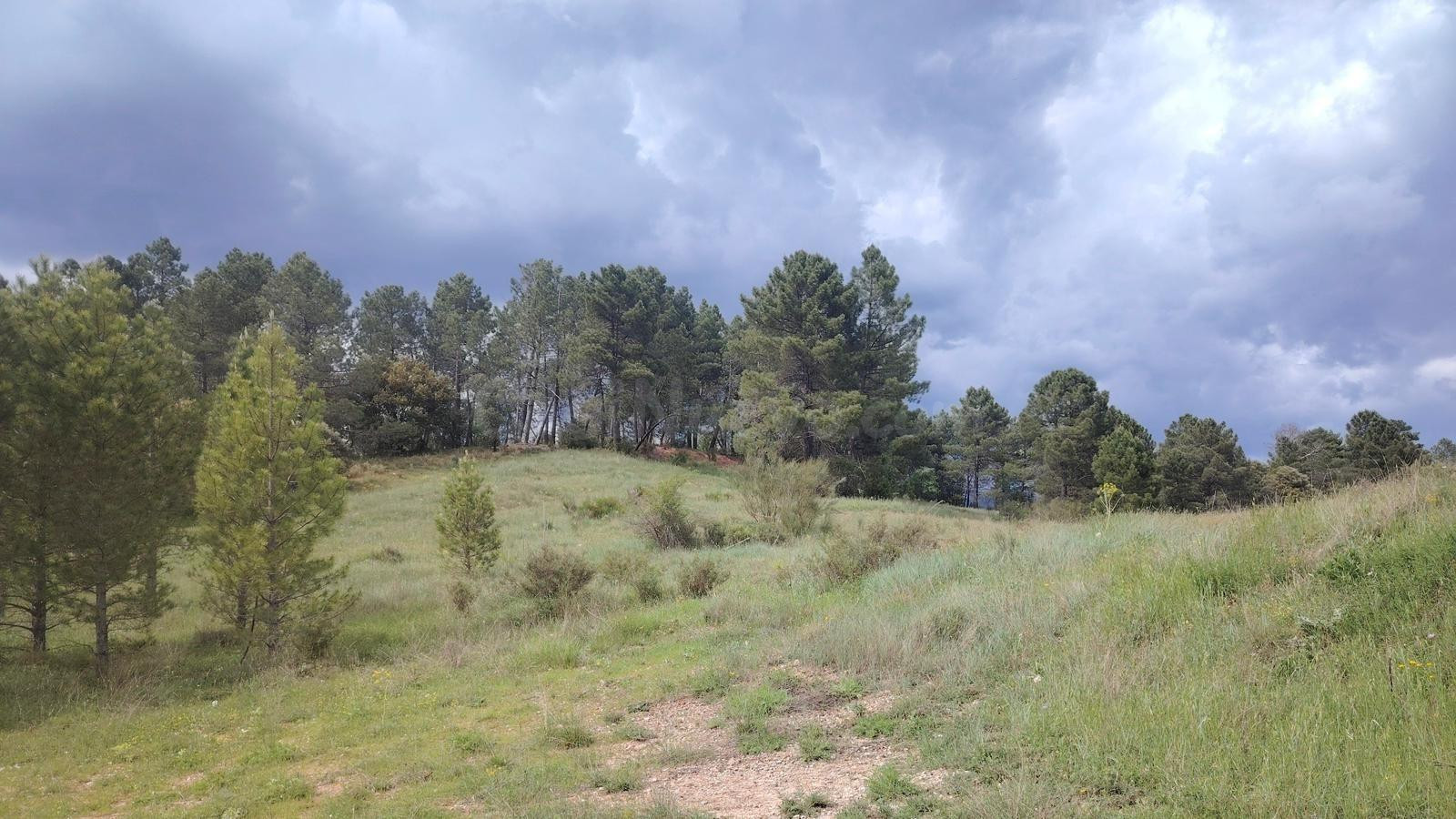 Terreno rural en venta - Castilla la mancha