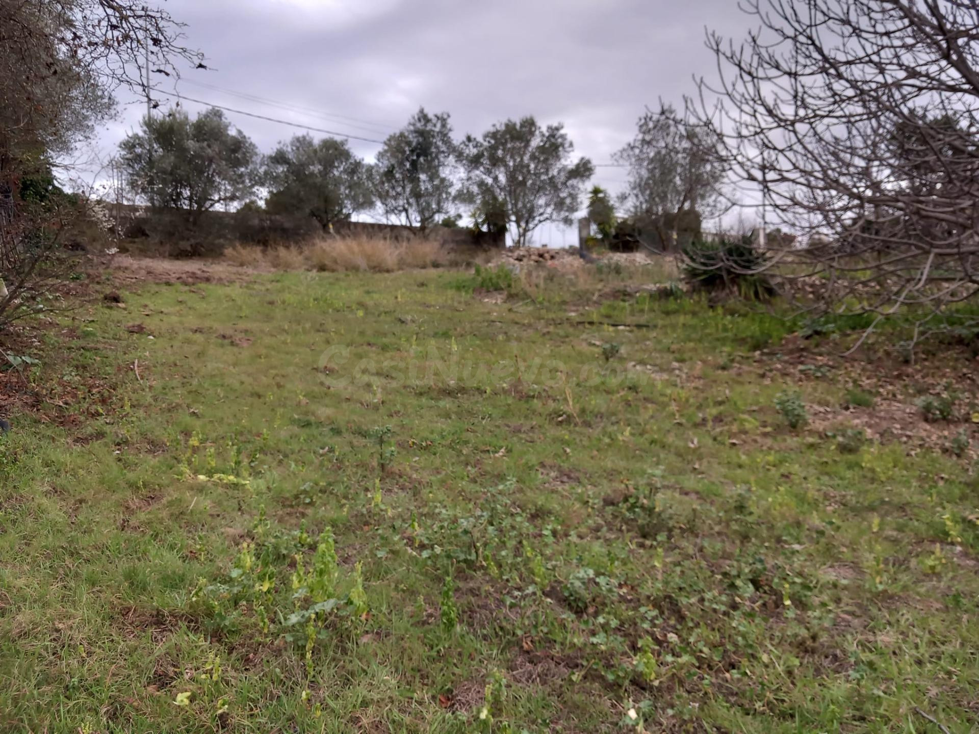 Parcela en urbanización de montaña