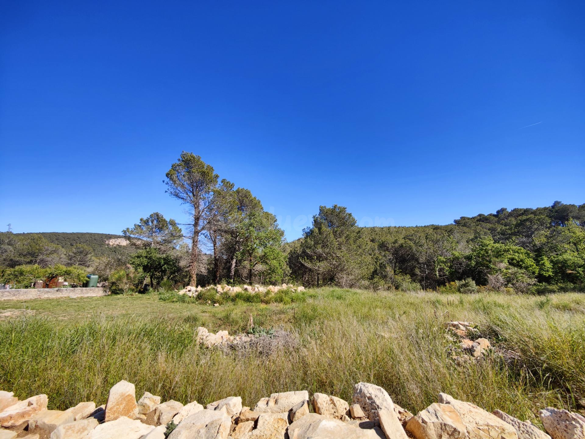 ÚNICO TERRENO URBANO EN VENTA EN EL COLL DE LA BARRACA