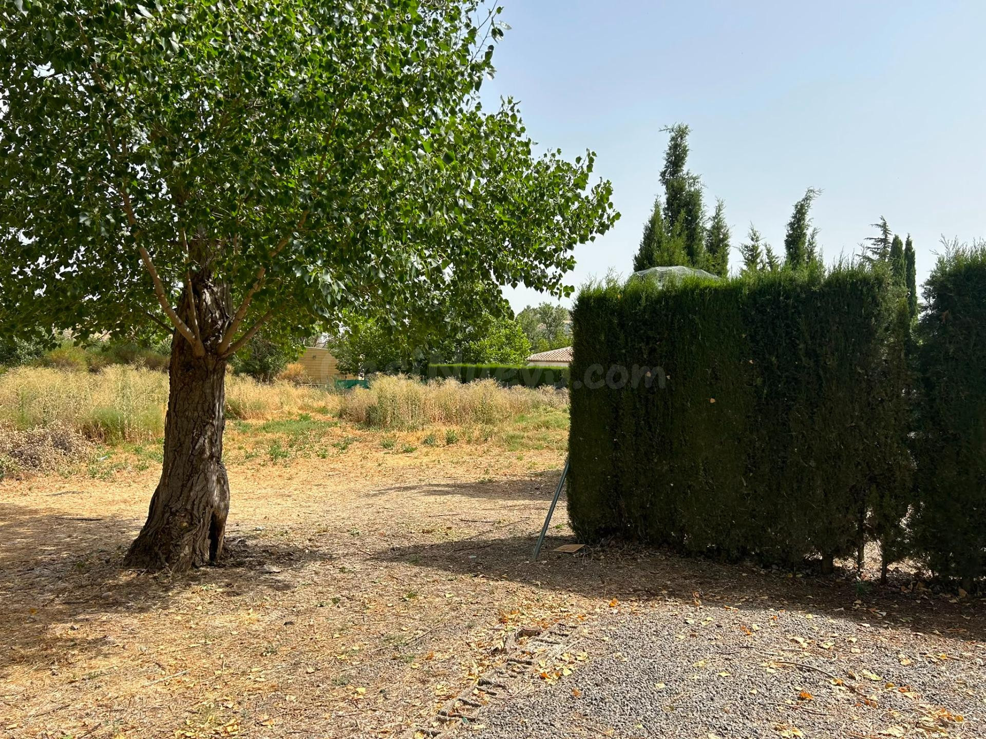 PARCELA RUSTICA EN LA ZONA DE ANTEQUERA¡¡¡¡¡¡¡¡¡¡¡¡¡