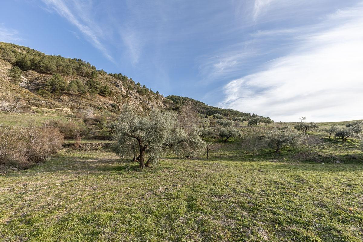Finca rústica en Monachil