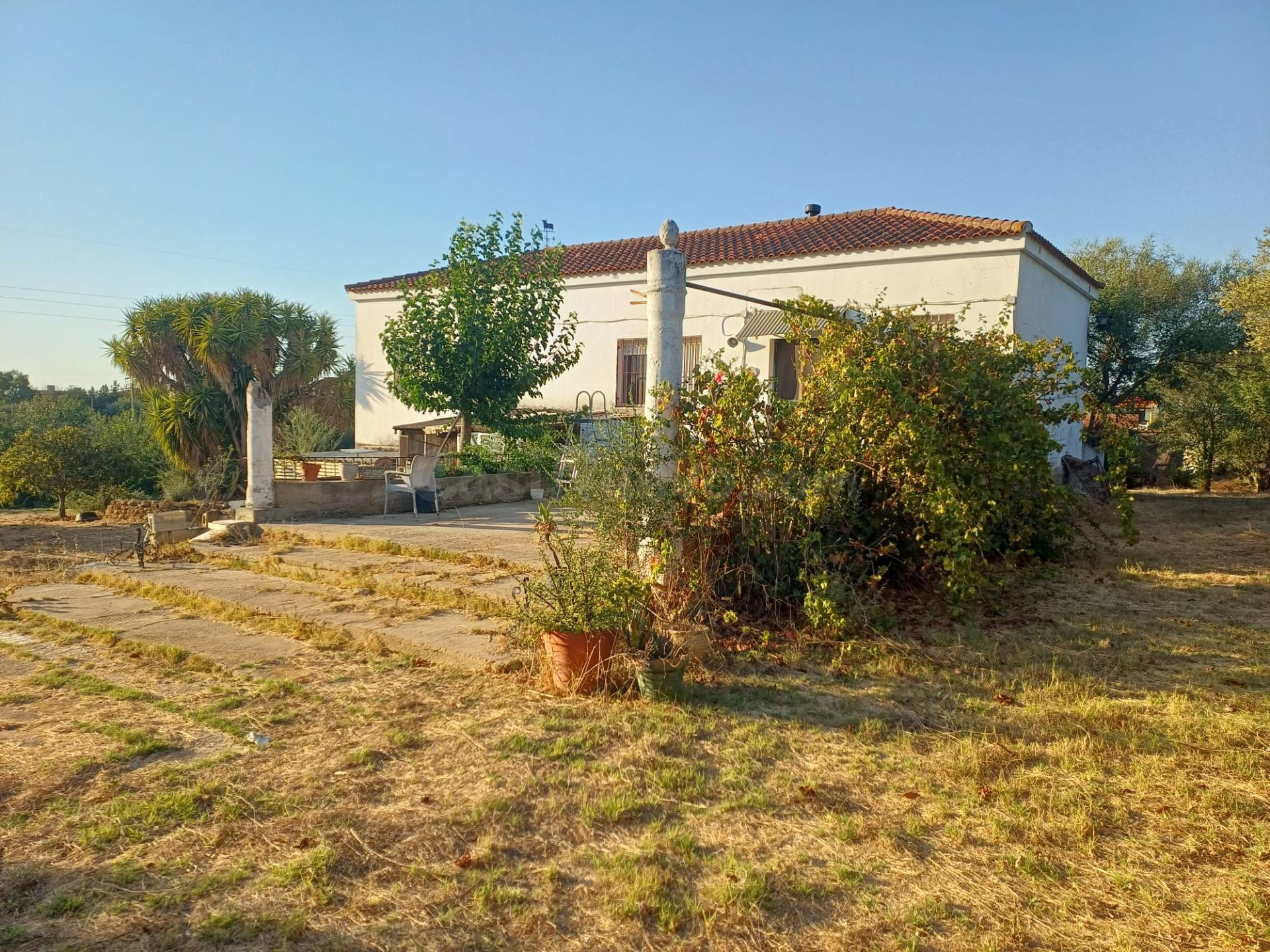 FINCA RÚSTICA A 1 KM DE LA PUEBLA DEL RÍO – 3.300 m2, VIVIENDA Y POZO PROPIO.