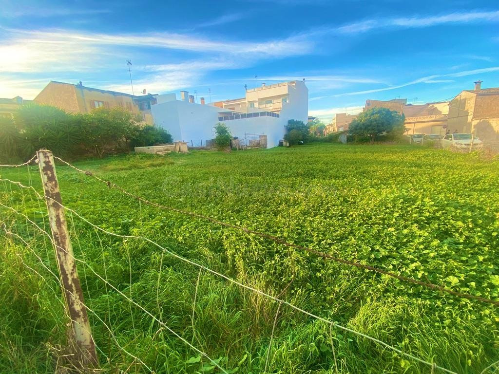 Terreno extenso en Santa Margalida, oportunidad única