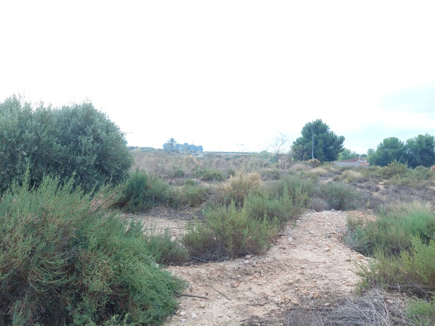 Se vende terreno de 12.800m2