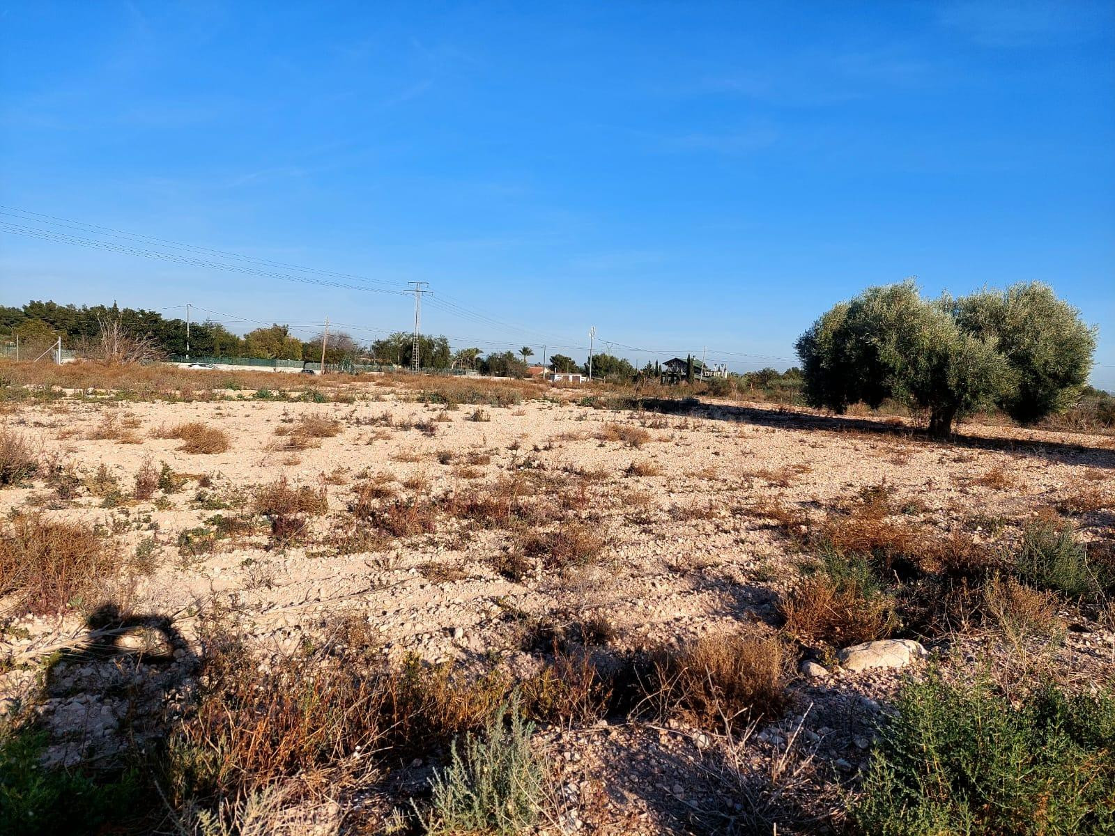 Se vende terreno de 13.000m2 en zona Squash