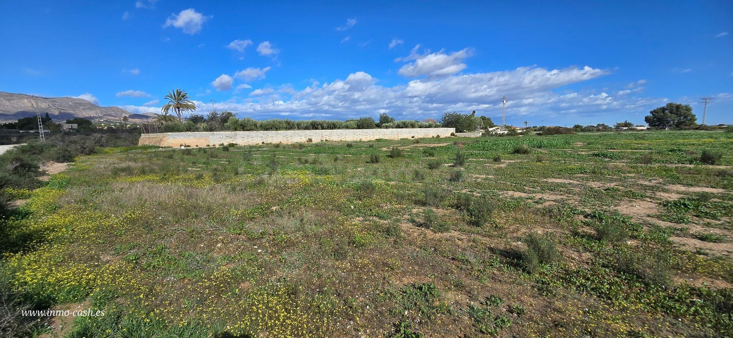 Terreno rural en venta - Comunidad valenciana
