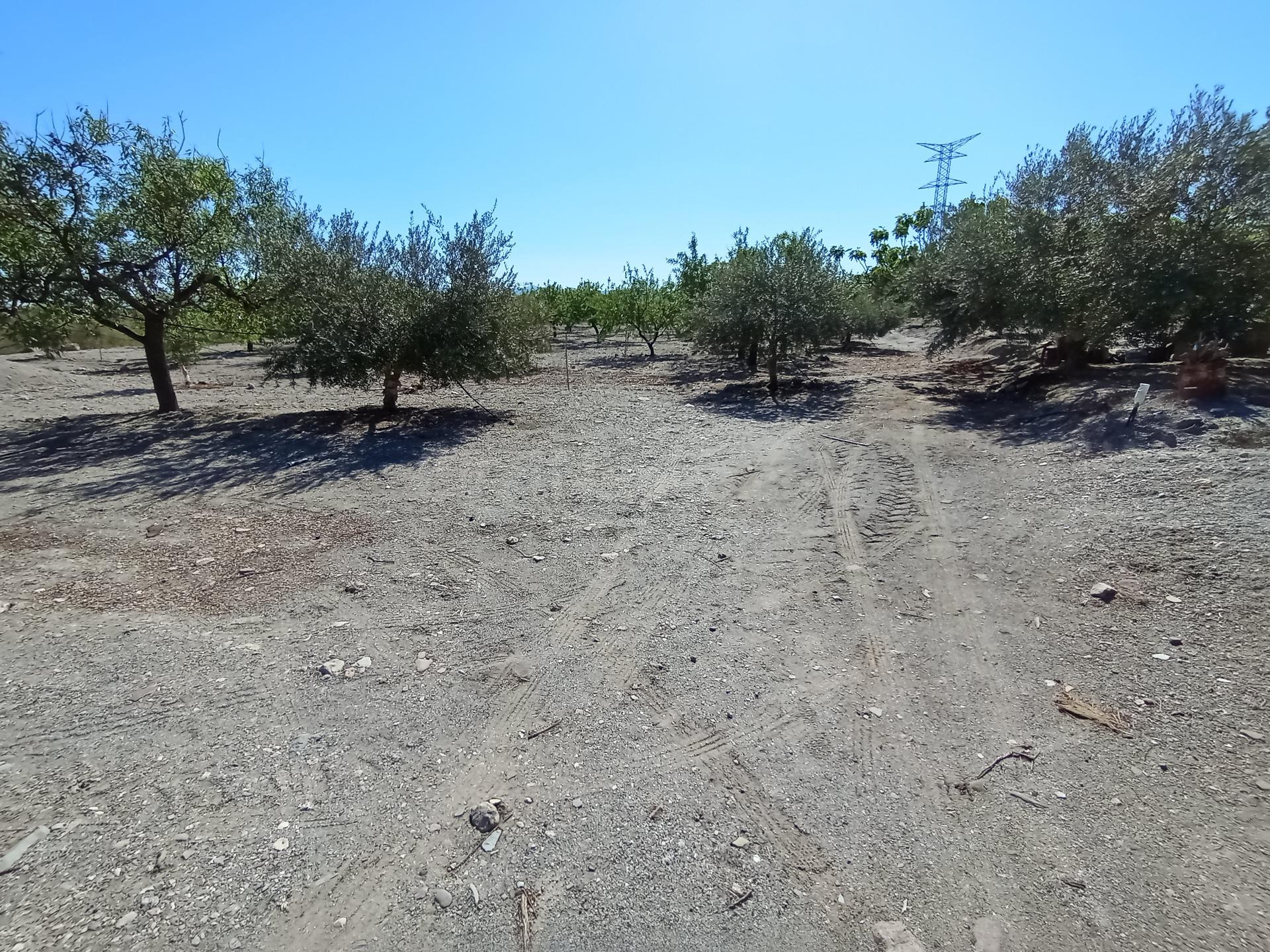 Terreno rural en Puerto Lumbreras en la zona del Cabezo del Trigo