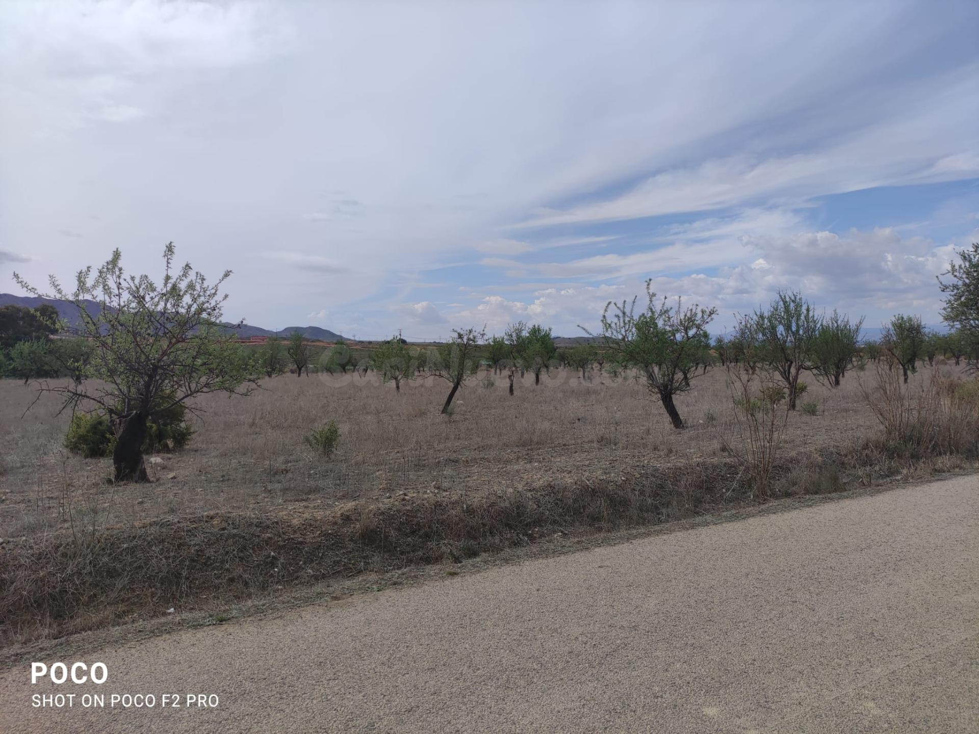 TERRENO AGRICOLA DE REGADÍO EN AGUADERAS, LORCA