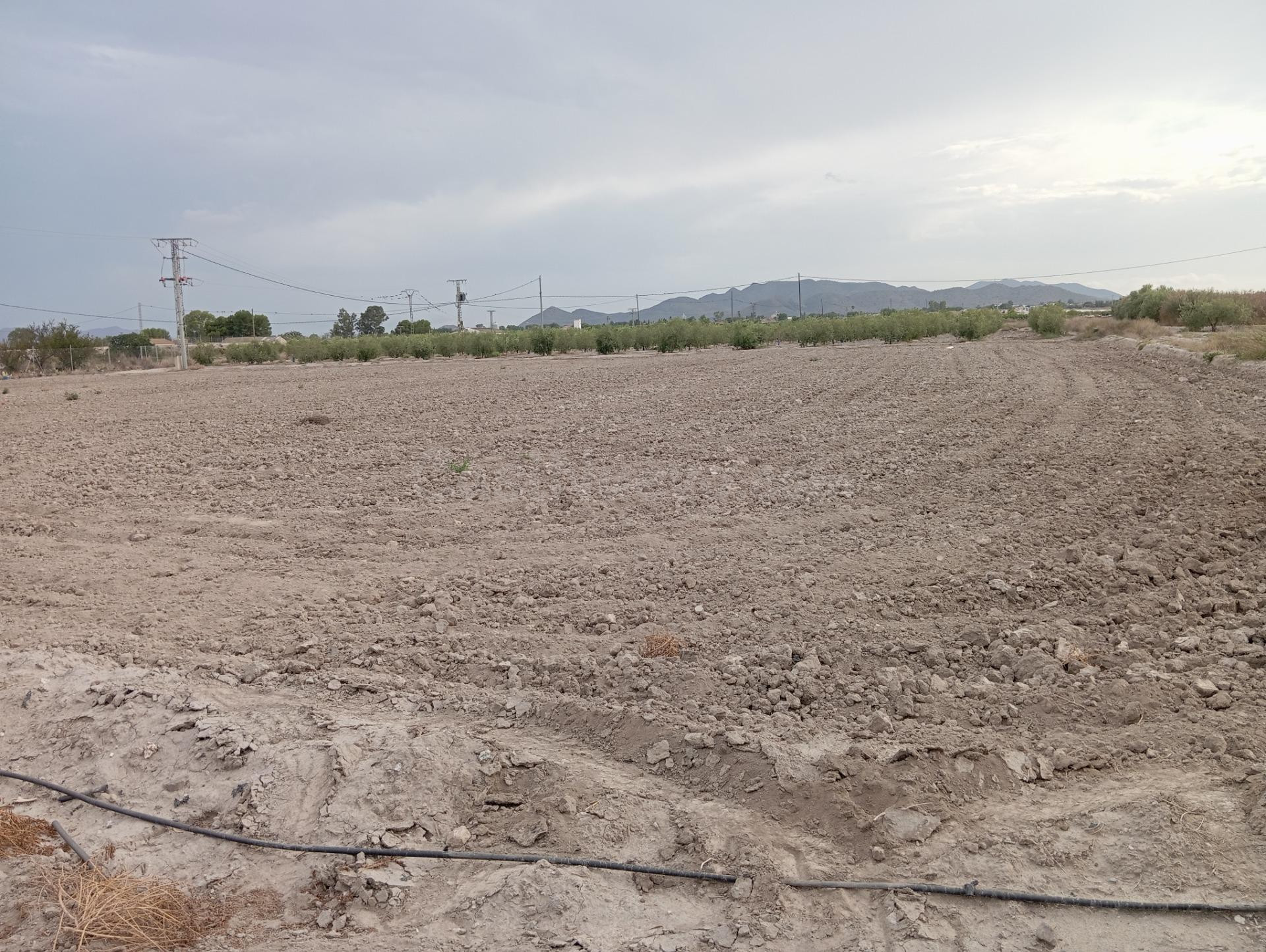 PARCELA CON FÁCIL ACCESO JUNTO A LA ESTACIÓN DE PUERTO LUMBRERAS