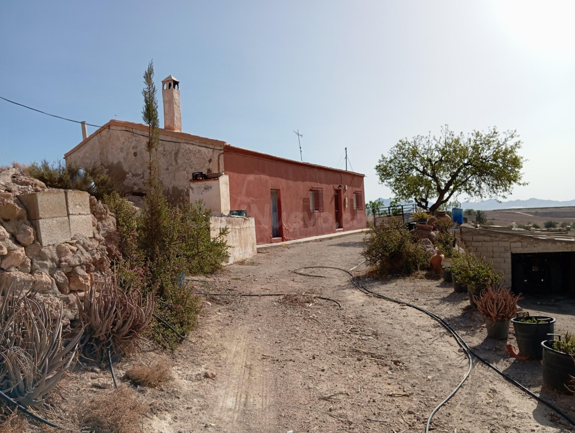 FINCA AGRICOLA DE 14 HAS CON 2 VIVIENDAS Y ALMACENES