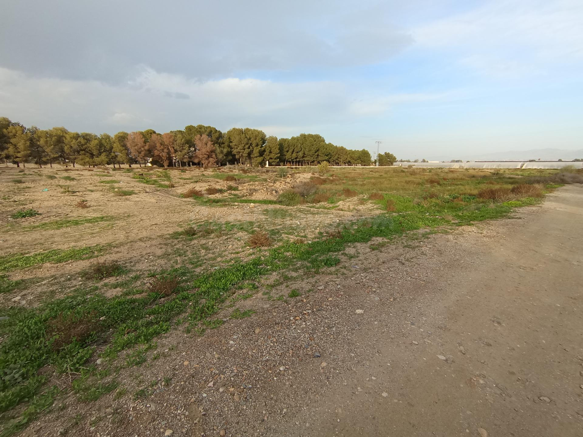 TERRENO RURAL EN LA ERMITA DE EL ESPARRAGAL