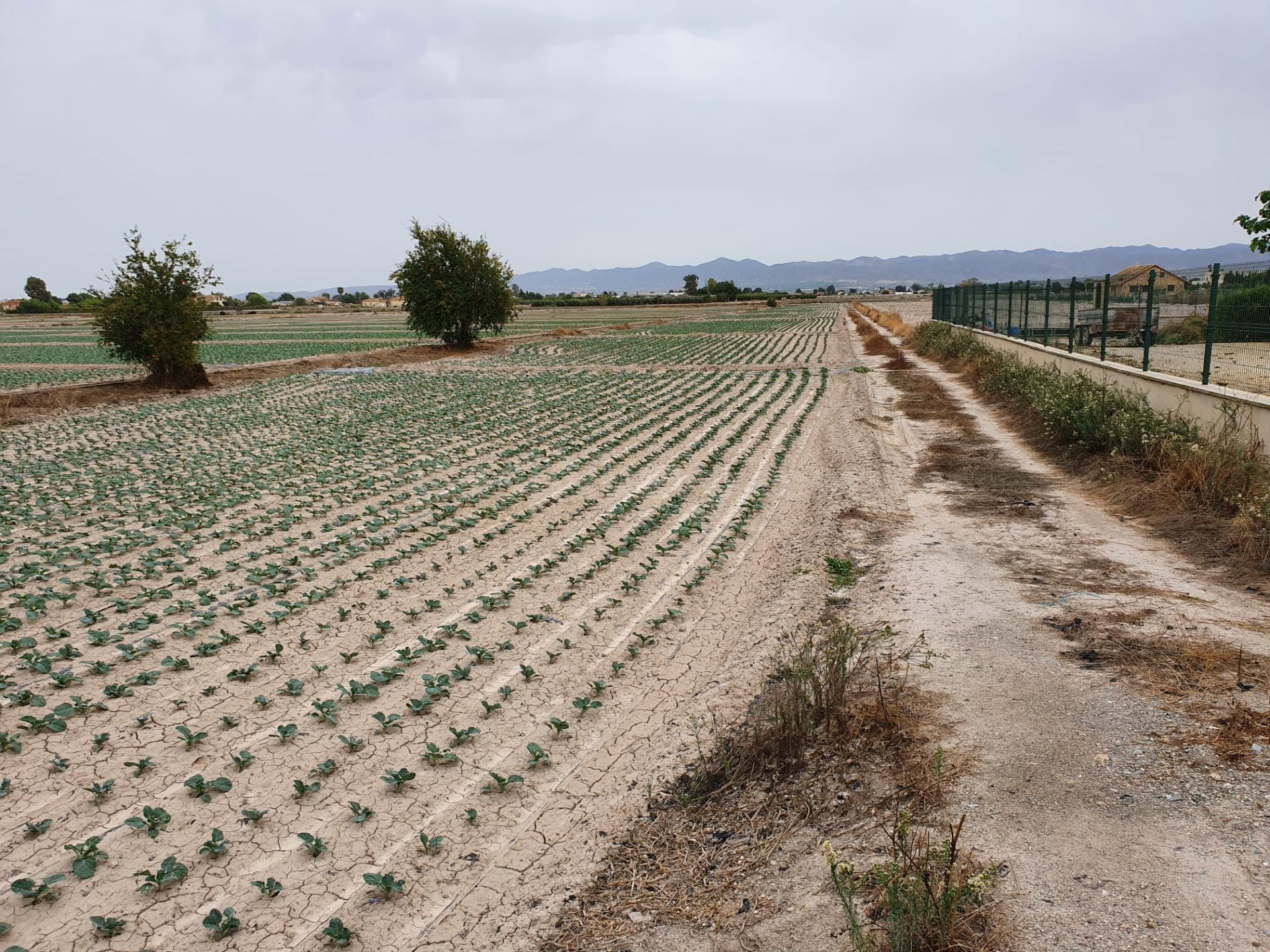 TERRENO RURAL URBANIZABLE EN LORCA