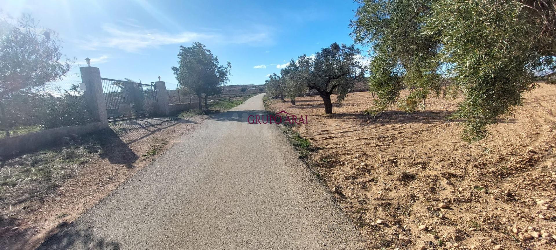 Vive el campo cerca del pueblo: finca rústica con opción de construcción