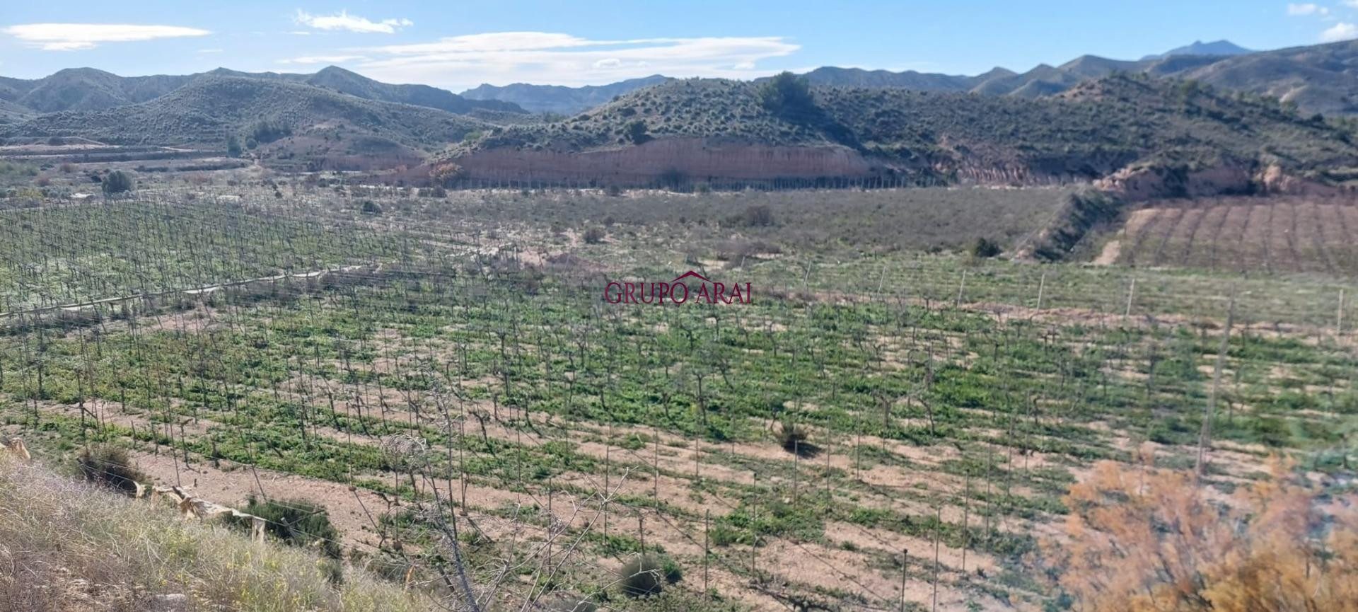 Finca rústica con embalse y vivienda de 100 m2 junto a Alenda Golf – Monforte del Cid